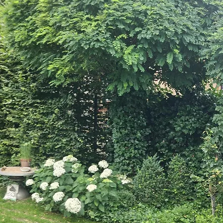 Gemuetliche Wohnung Mit Sauna Neumarkt in der Oberpfalz Exterior photo